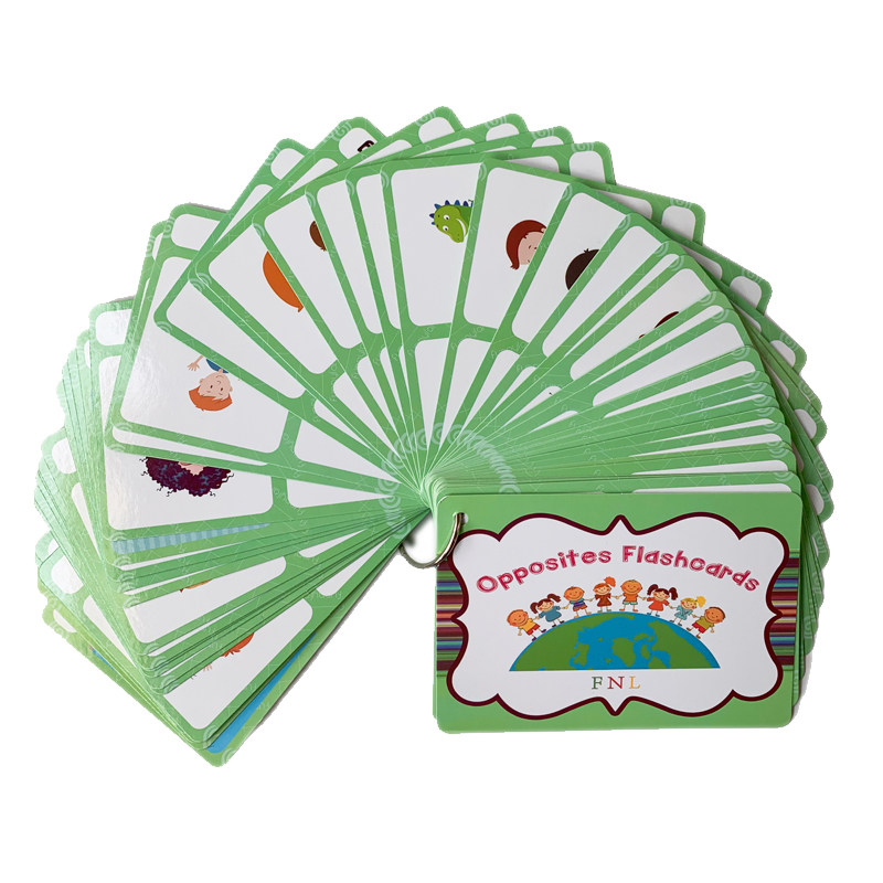 The 100 Groups Opposites Flash - Kids Education Card reseña y precio