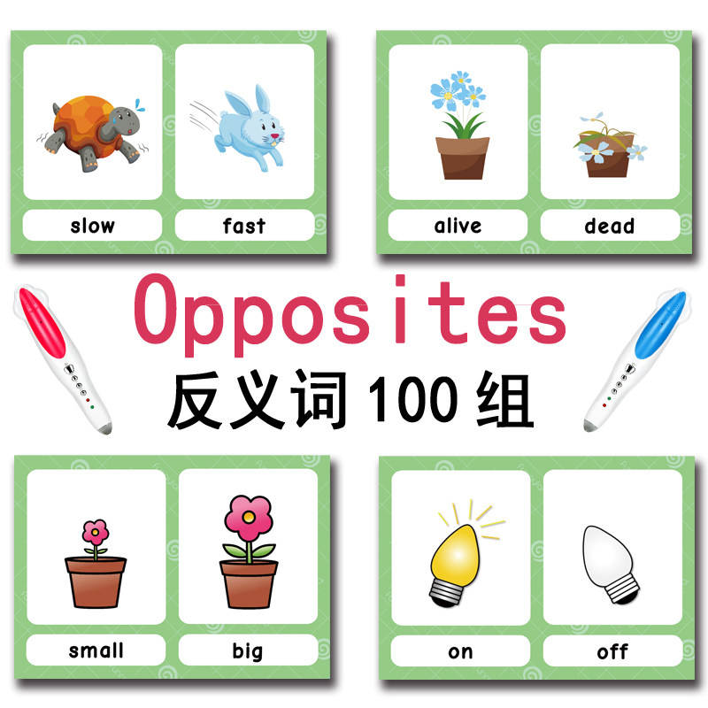 The 100 Groups Opposites Flash - Kids Education Card reseña y precio