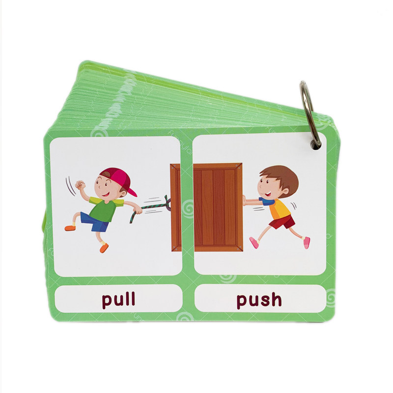 The 100 Groups Opposites Flash - Kids Education Card reseña y precio