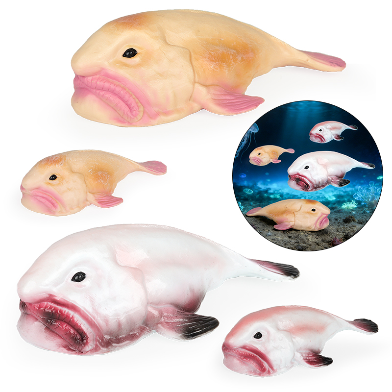 Oenux Australia Deep-Sea Fish  - Kids Education In Australia reseña y precio