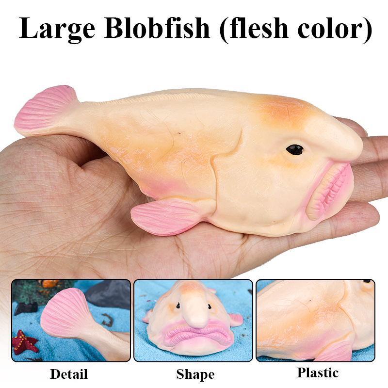 Oenux Australia Deep-Sea Fish  - Kids Education In Australia reseña y precio