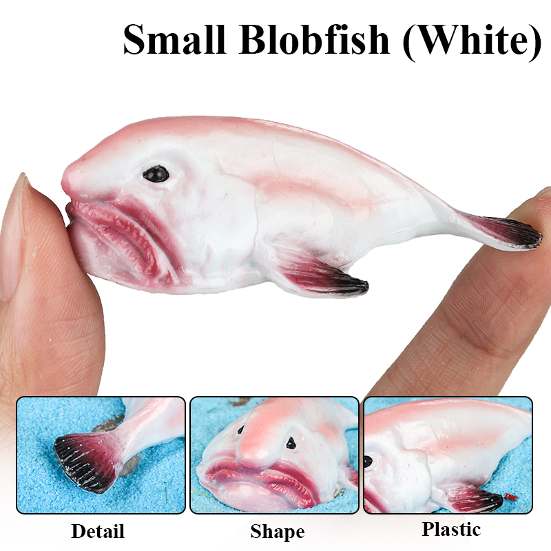 Oenux Australia Deep-Sea Fish  - Kids Education In Australia reseña y precio
