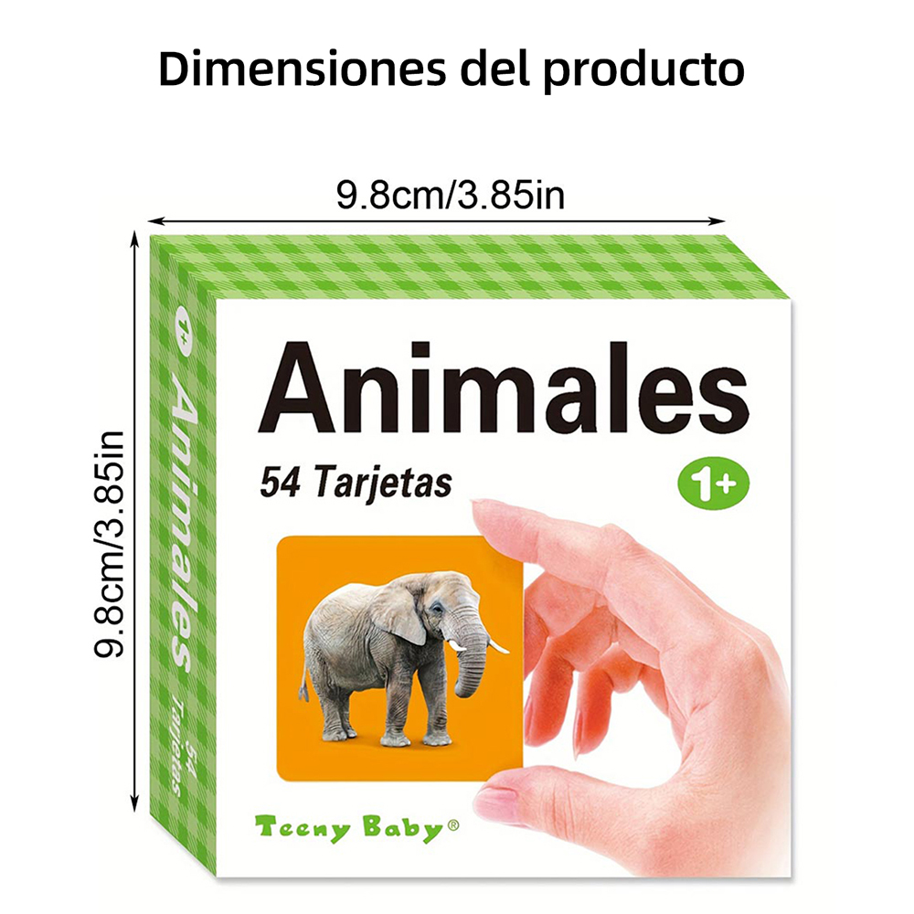 Different types of Spanish lea - Kids Education Card reseña y precio