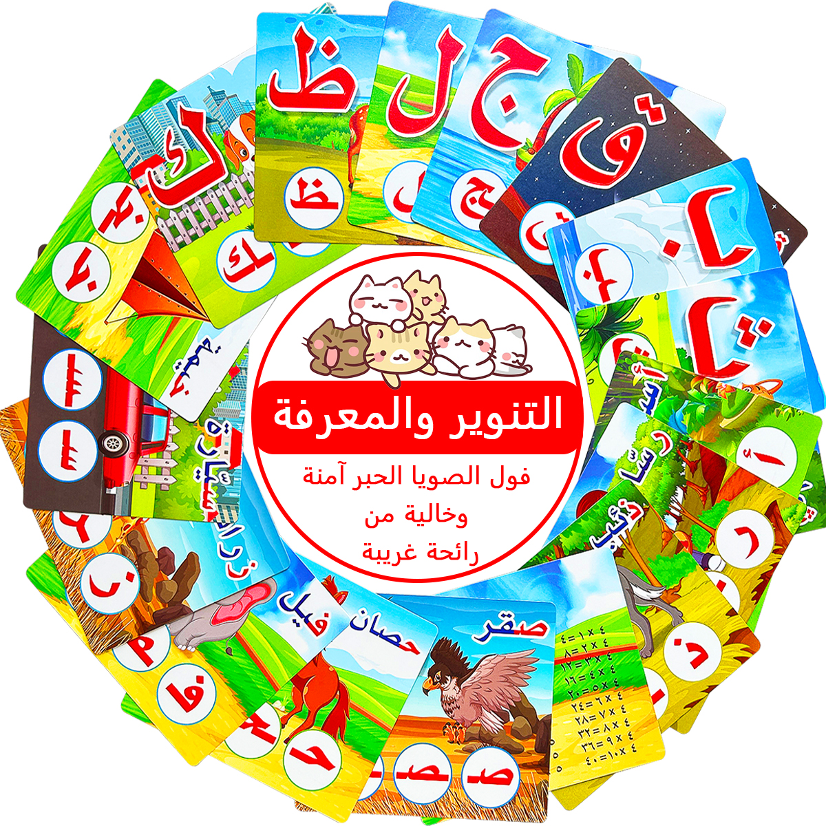 28Pcs Double Sided Arabic Alph - Kids Education Card reseña y precio